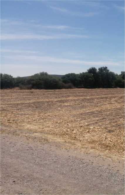 Terreno en construcción