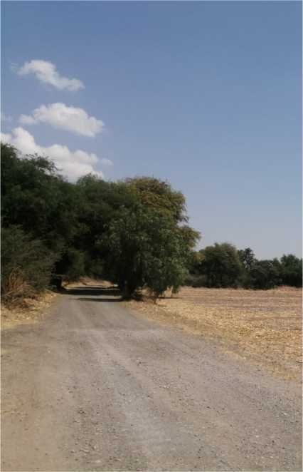 Terreno residencial para construir